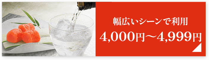 幅広いシーンで利用4,000円～4,999円