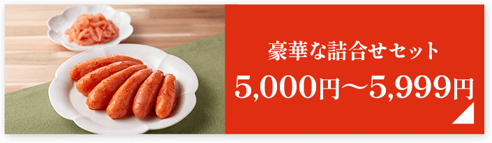 豪華な詰合せセット5,000円～5,999円