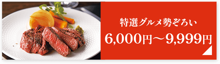 特選グルメ勢ぞろい6,000円～9,999円