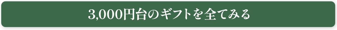 3,000円台のギフトを全て見る