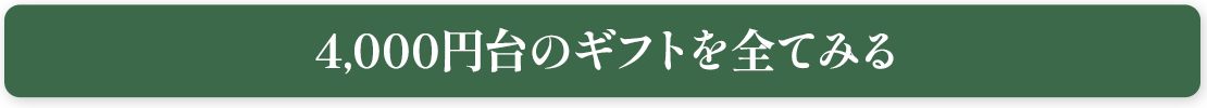 4,000円台のギフトを全て見る