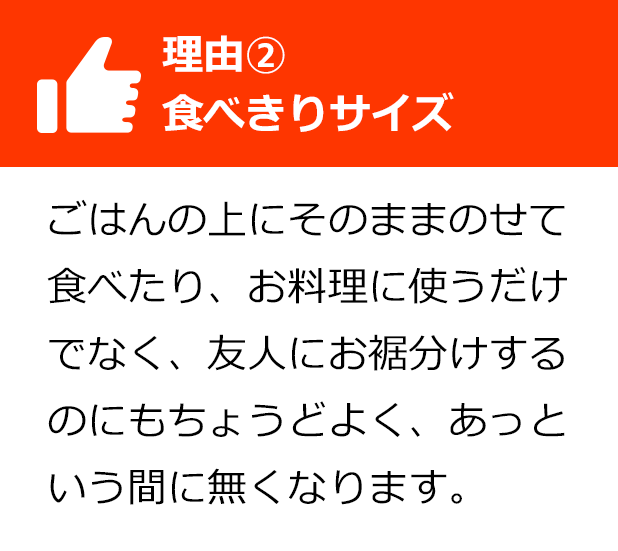 理由2食べきりサイズ