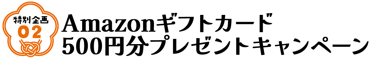 特別企画2 Amazonギフトカード500円分プレゼントキャンペーン