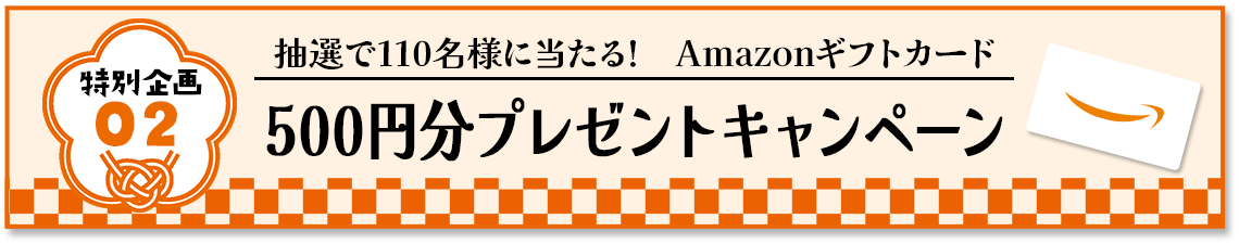 特別企画2 Amazonギフトカード500円分プレゼントキャンペーン