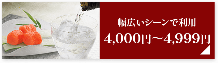 幅広いシーンで利用4,000円～4,999円