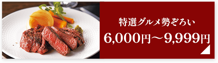 特選グルメ勢ぞろい6,000円～9,999円