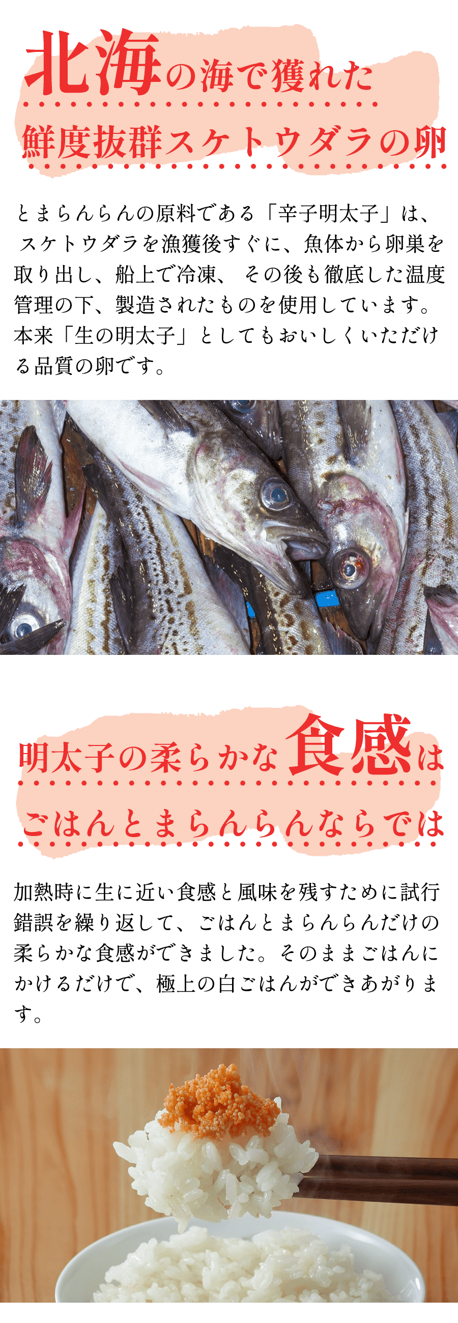 北海の海で獲れた鮮度抜群スケトウダラの卵とまらんらんの原料である「辛子明太子」は、 スケトウダラを漁獲後すぐに、魚体から卵巣を取り出し、船上で冷凍、 その後も徹底した温度管理の下、製造されたものを使用しています。 本来「生の明太子」としてもおいしくいただける品質の卵です。明太子の柔らかな食感はごはんとまらんらんならでは加熱時に生に近い食感と風味を残すために試行錯誤を繰り返して、ごはんとまらんらんだけの柔らかな食感ができました。そのままごはんにかけるだけで、極上の白ごはんができあがります。