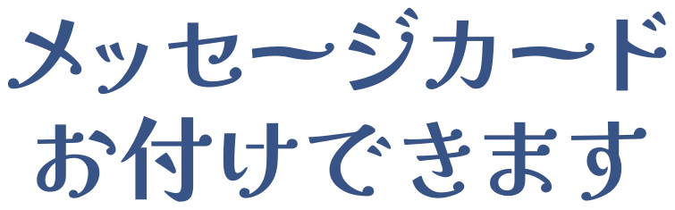 メッセージカードお付けできます